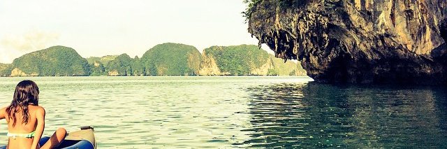 wentingxi's profile banner image