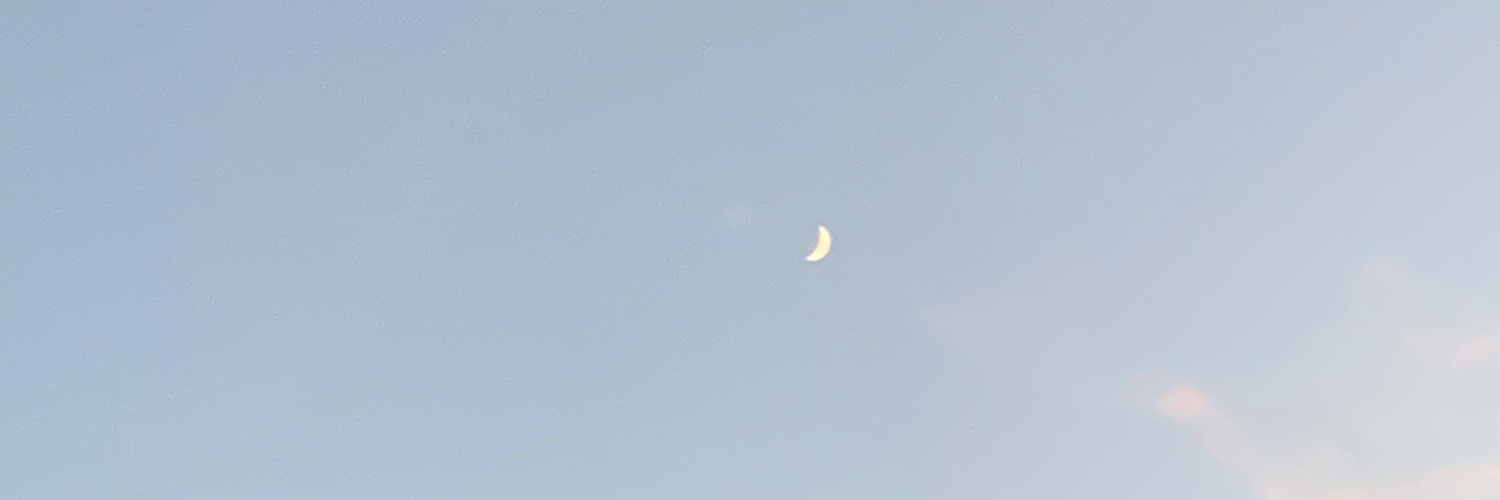 vynugget's profile banner image
