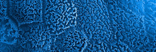 emulateinc Profile Banner