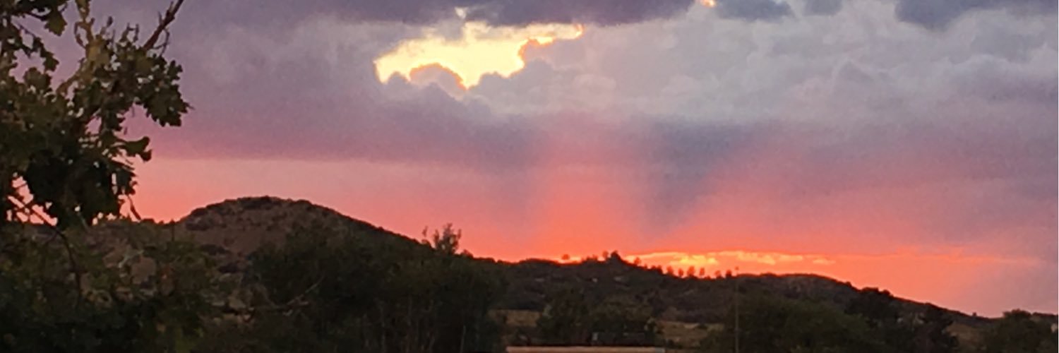 prplfrk19's profile banner image