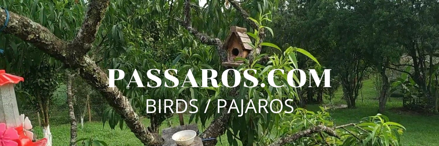 passaroscom's profile banner image