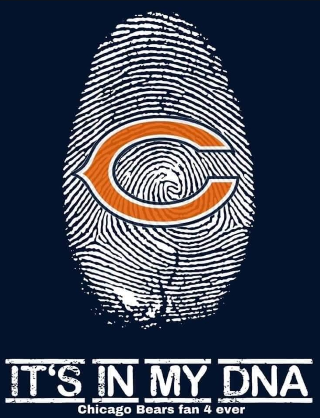 AVłⱤ X 🐻 🦬 𝖘𝖔𝖝 💙💛 banner