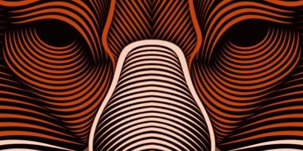 comun_roso's profile banner image