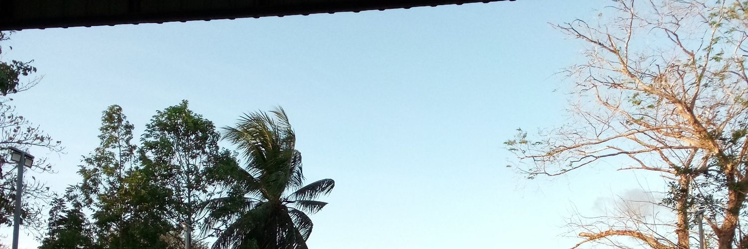 senmee519's profile banner image