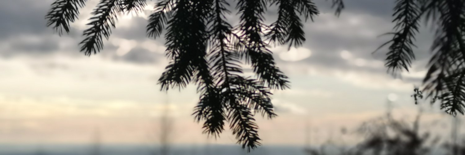 combyne99's profile banner image