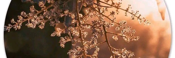 LakiWeb21's profile banner image