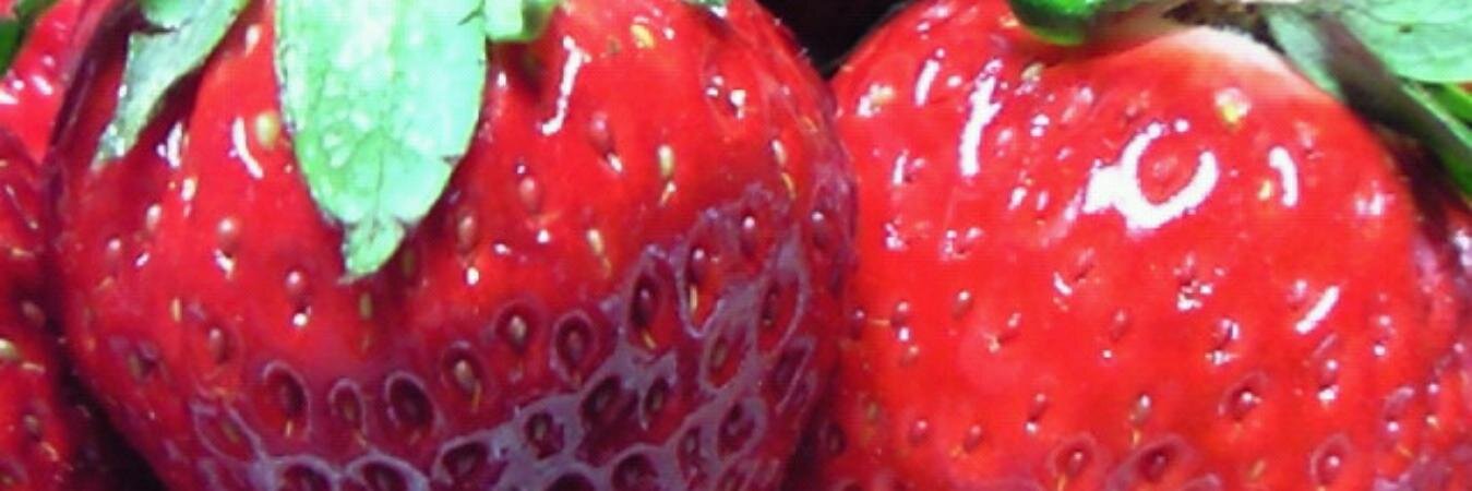 kitajima_410's profile banner image