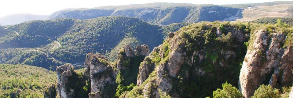 ccbegues's profile banner image
