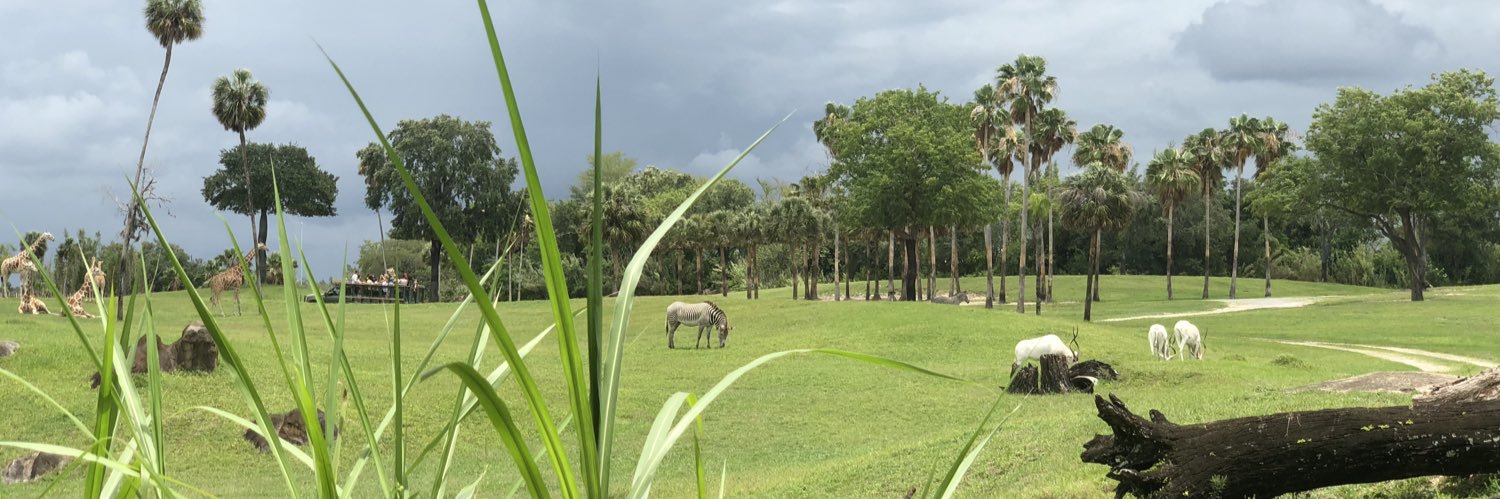 Sarah Klosterman banner