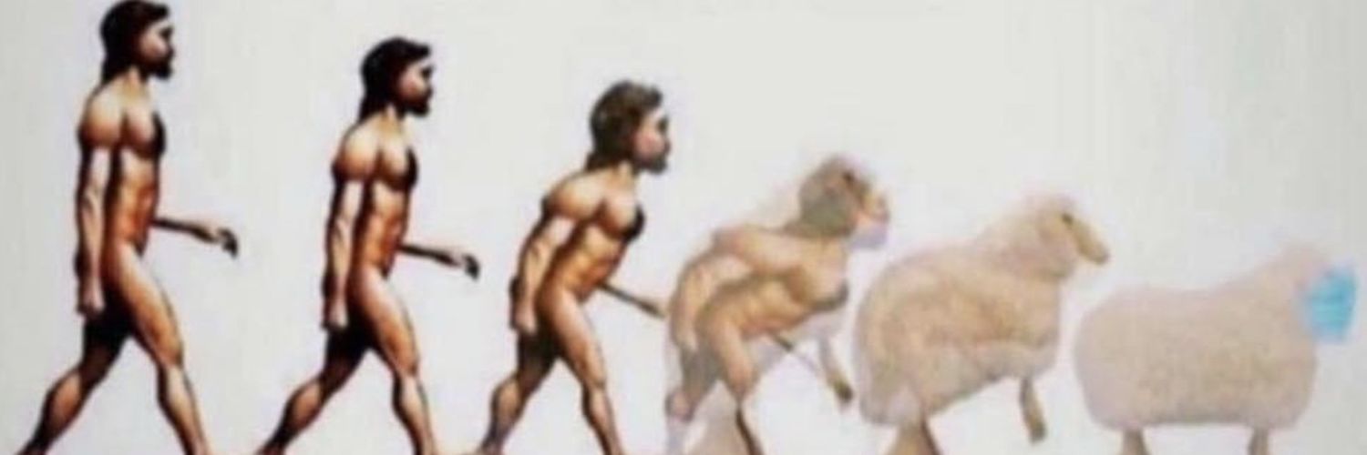 Sassen van Elsloo banner