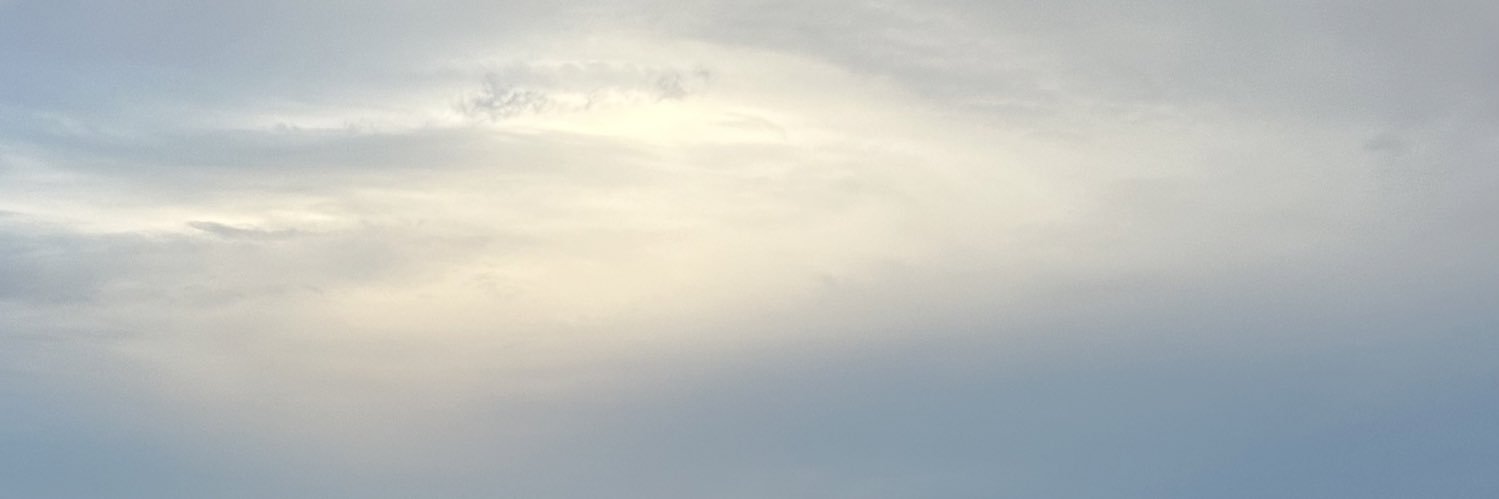 Pau Suárez banner