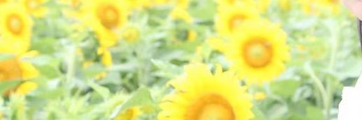 kit11119's profile banner image