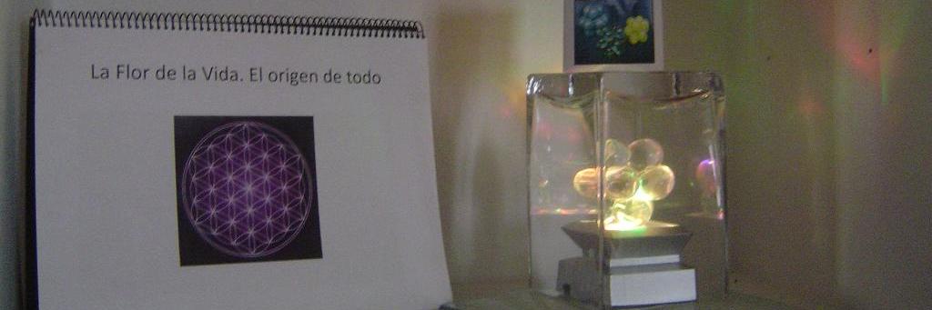 carmenmcarrion's profile banner image