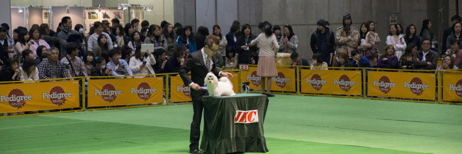 funnytail_mal's profile banner image