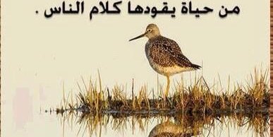 A88437186's profile banner image