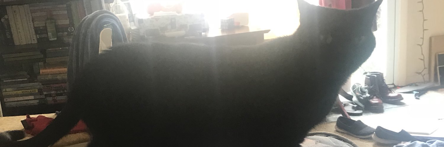 maddiemanic's profile banner image