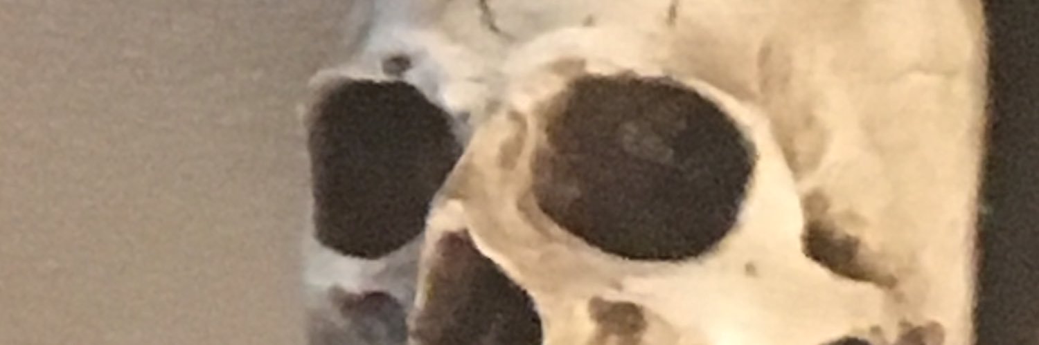 d_rob58's profile banner image