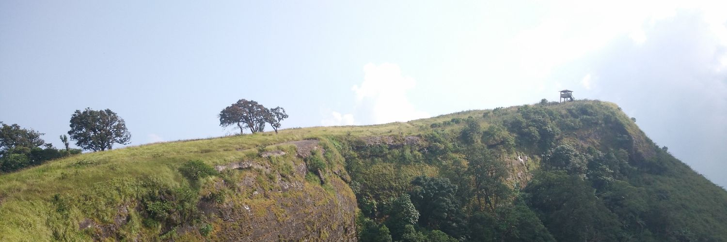 Zorema's profile banner image