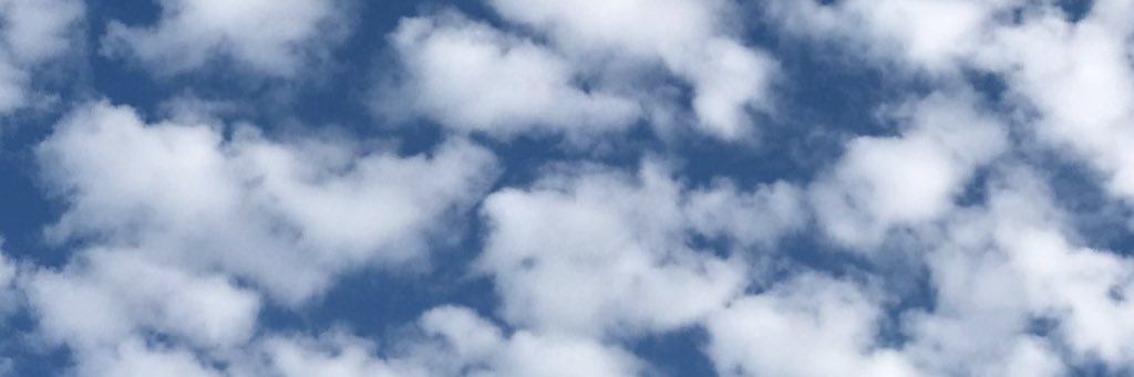 86ellen's profile banner image