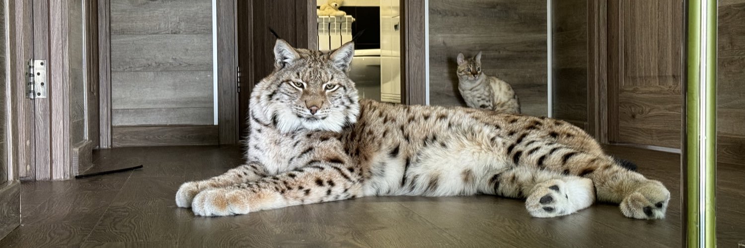 Илья Смолин banner