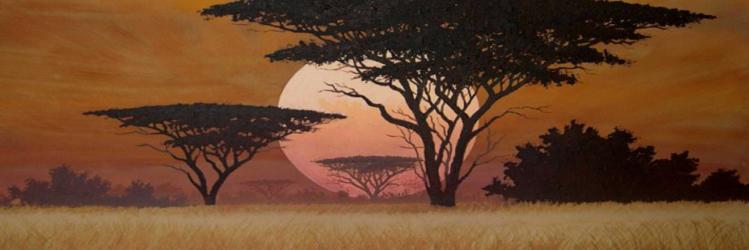 Letorome's profile banner image