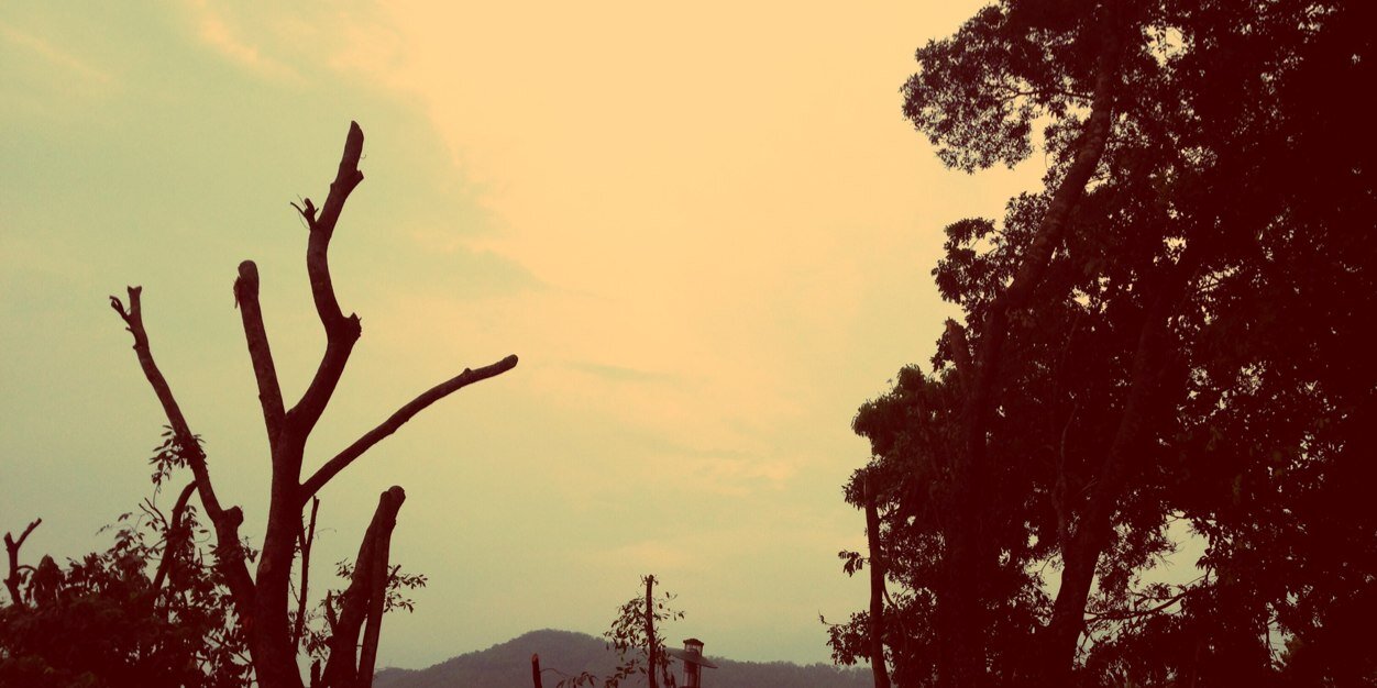 Alice_Tai's profile banner image