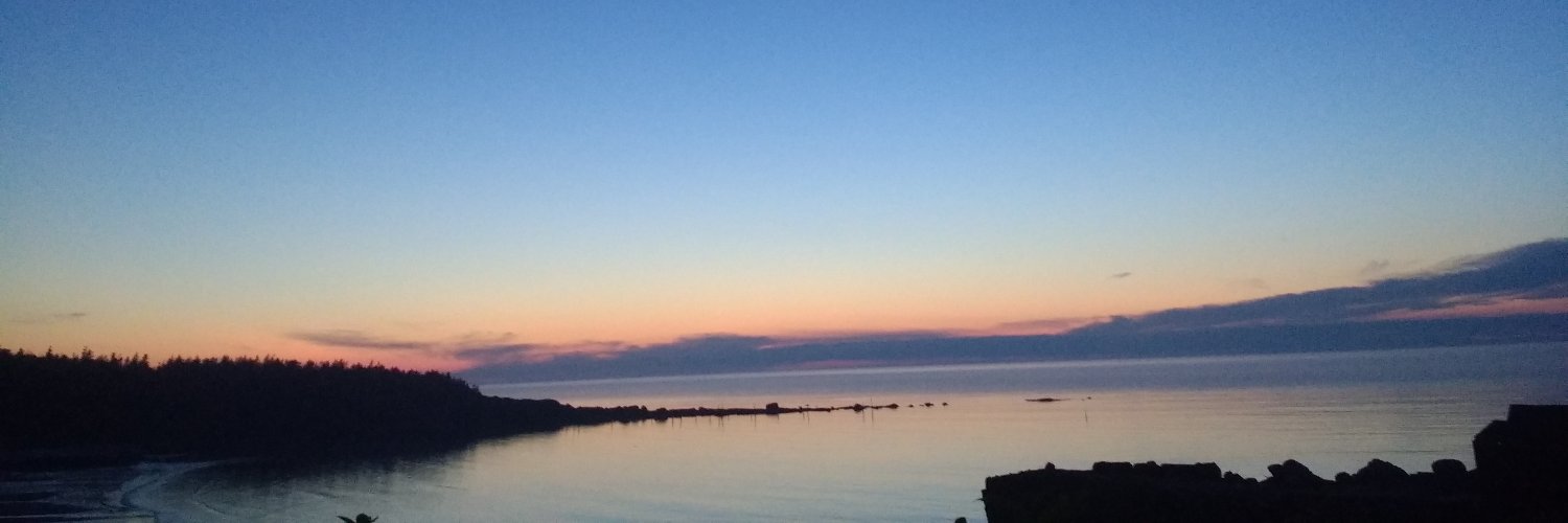 saturdayedition's profile banner image