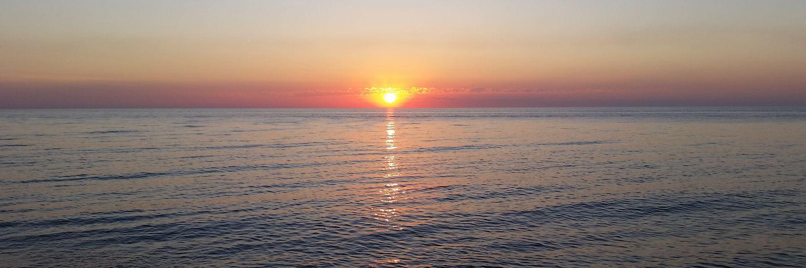 Max Ostermyer banner