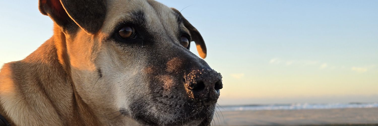 JTDuke11's profile banner image