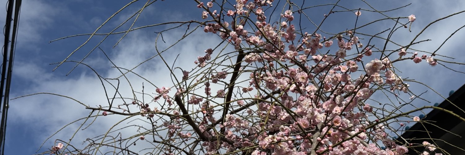 hidekikatsuno's profile banner image