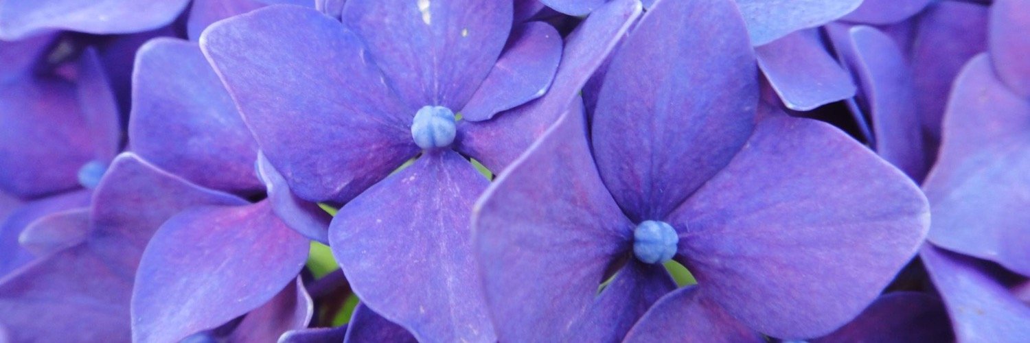 Letii_pg's profile banner image