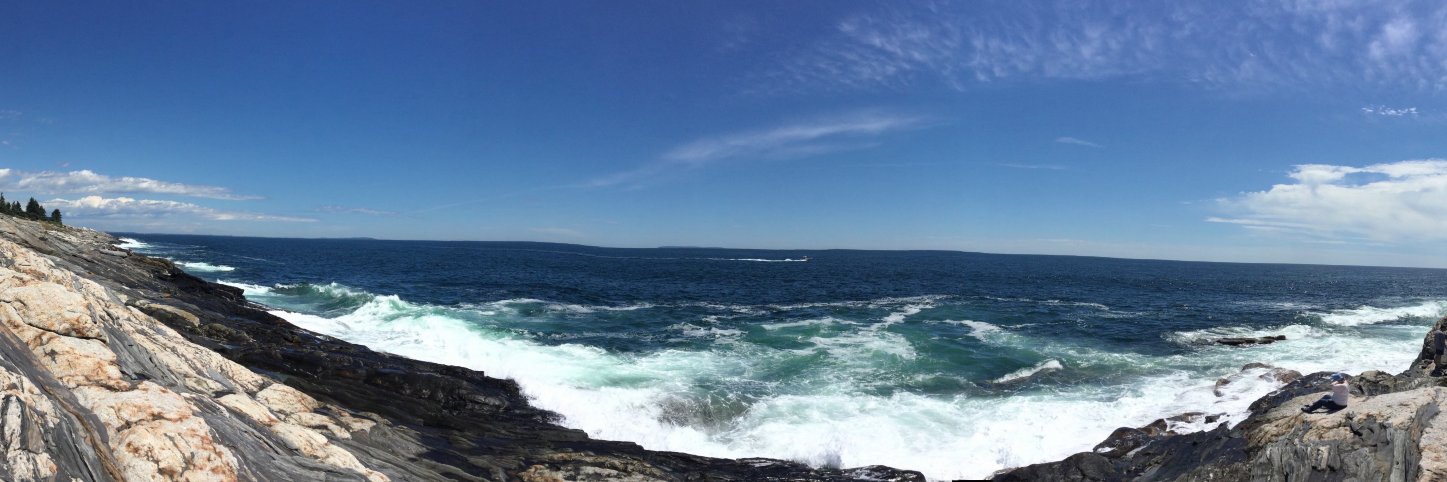 Doug Physics Forrest banner