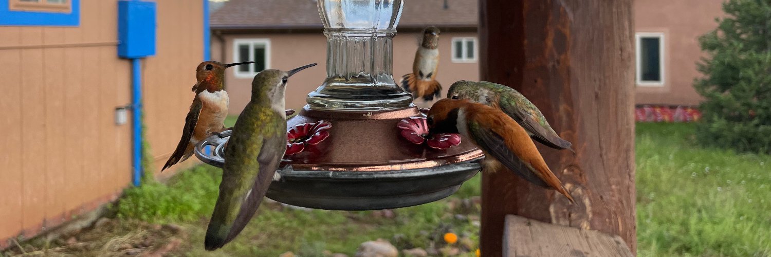 Peter Jacobson banner