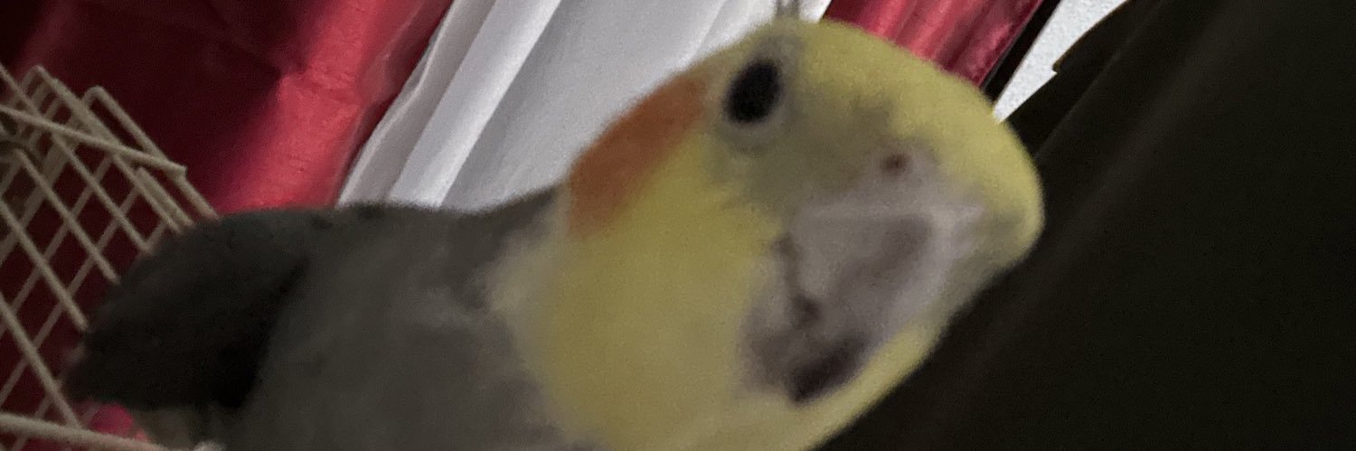 angelwillow86's profile banner image