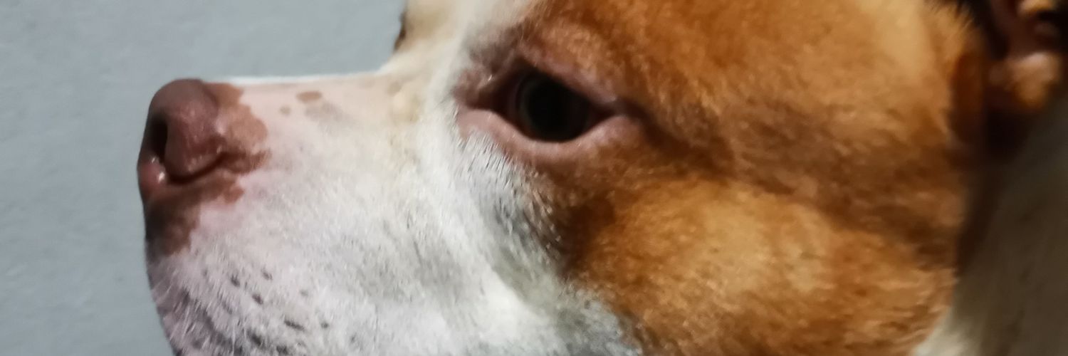 LukMooSeeChompu's profile banner image