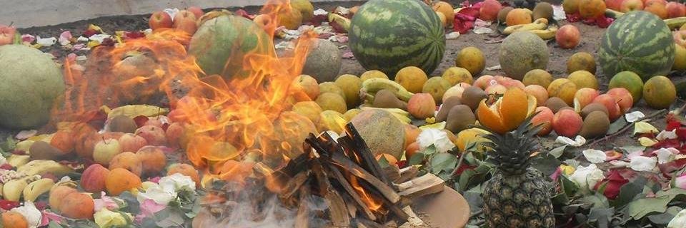 Tribuna Silvestre banner