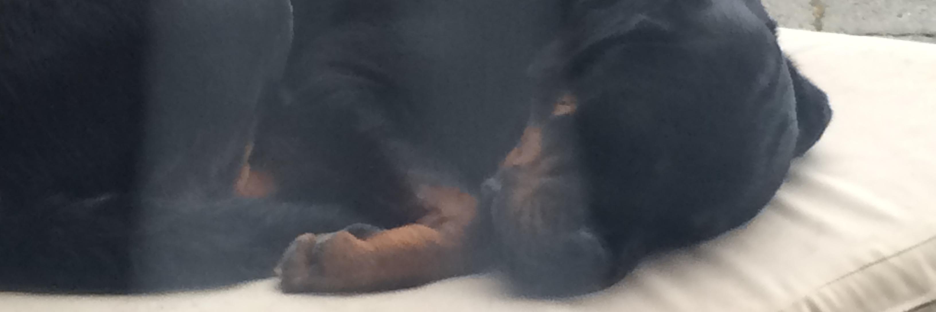 Cecamp83's profile banner image