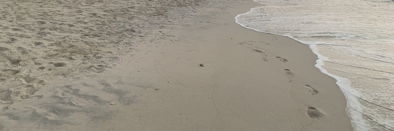 Klaatu Baradu Nikto banner