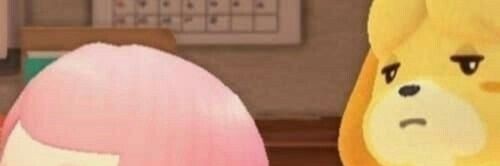 laura__sv's profile banner image