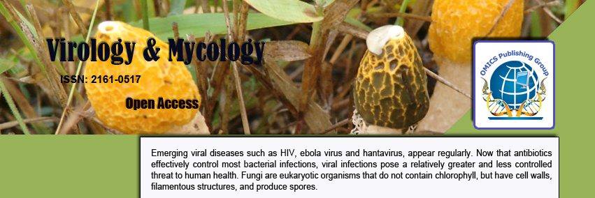 JournalVirology's profile banner image