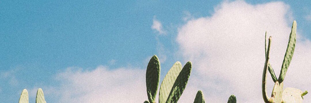 Ebr0ee's profile banner image