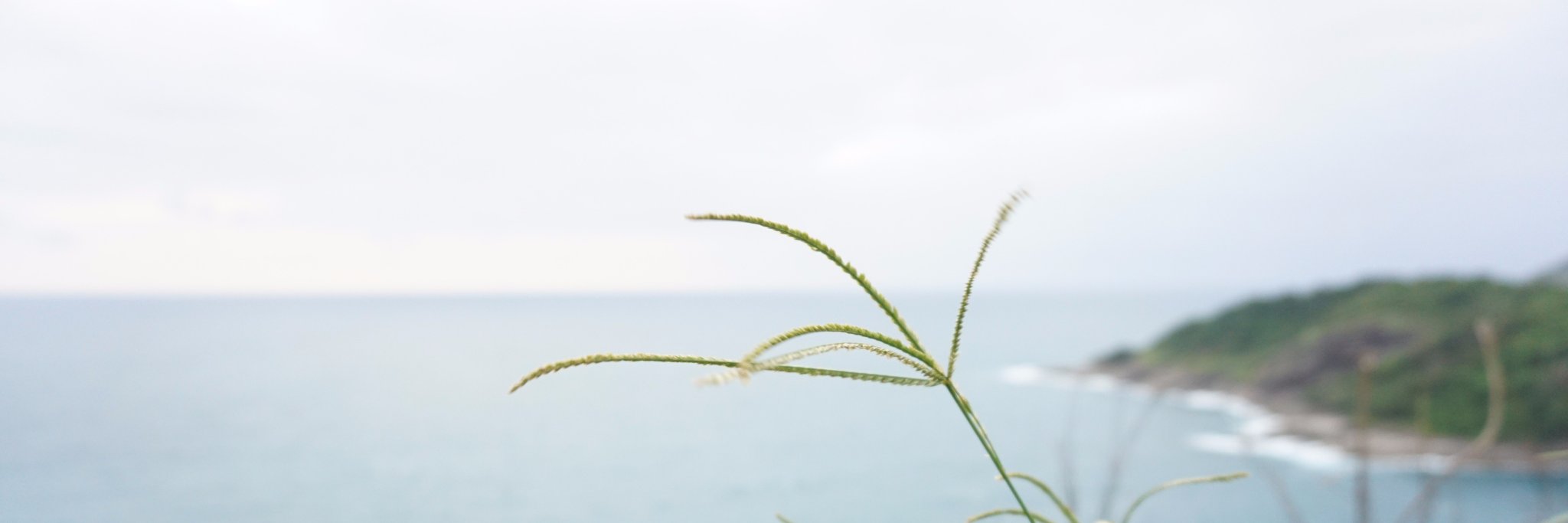 oomnaturally's profile banner image