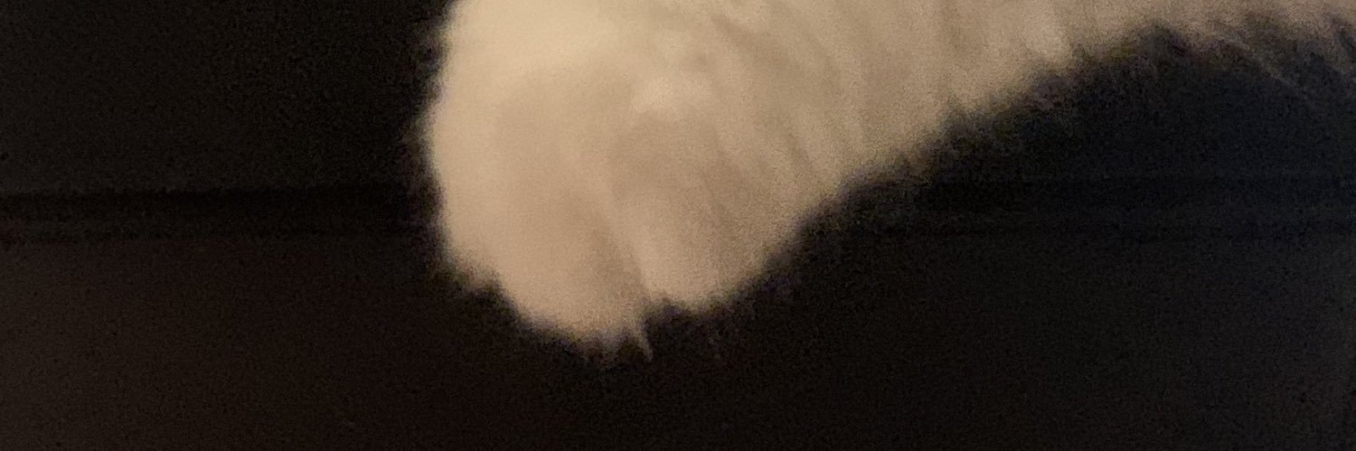 abbbbaeeee's profile banner image