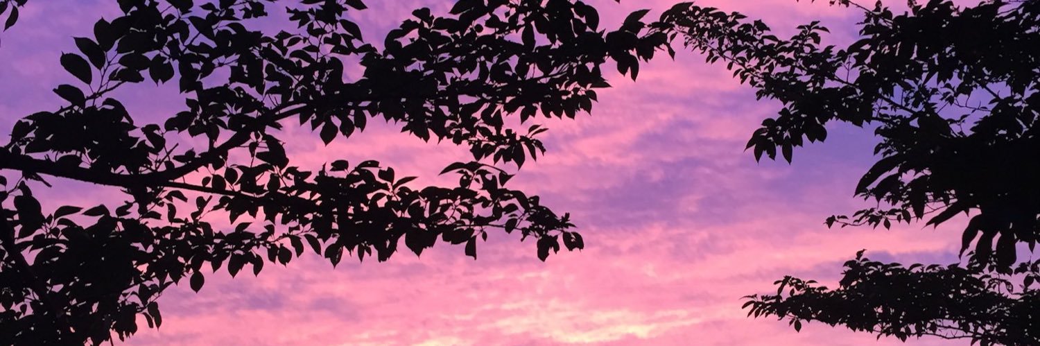 db_mlkapple's profile banner image