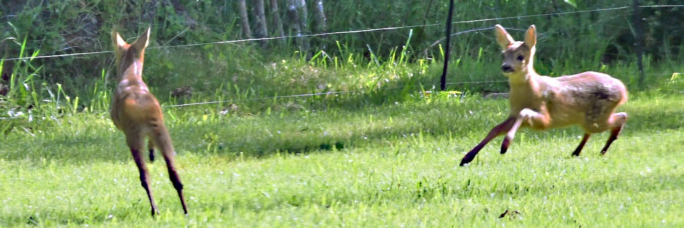 Pierre Praxton banner