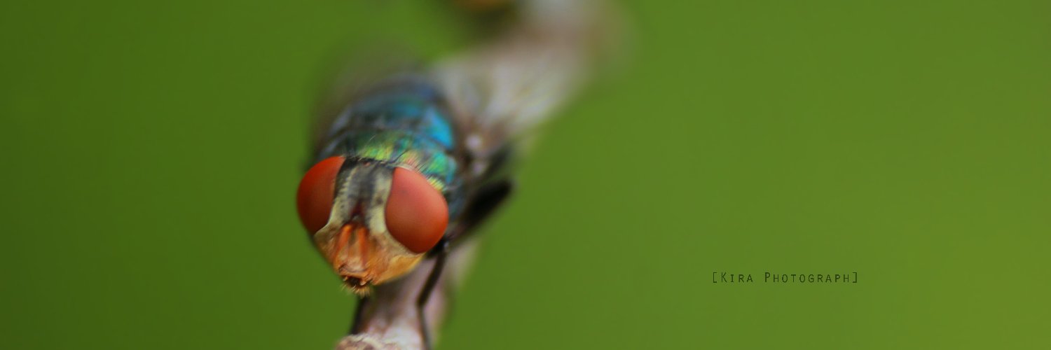 Kinan_Radivta's profile banner image