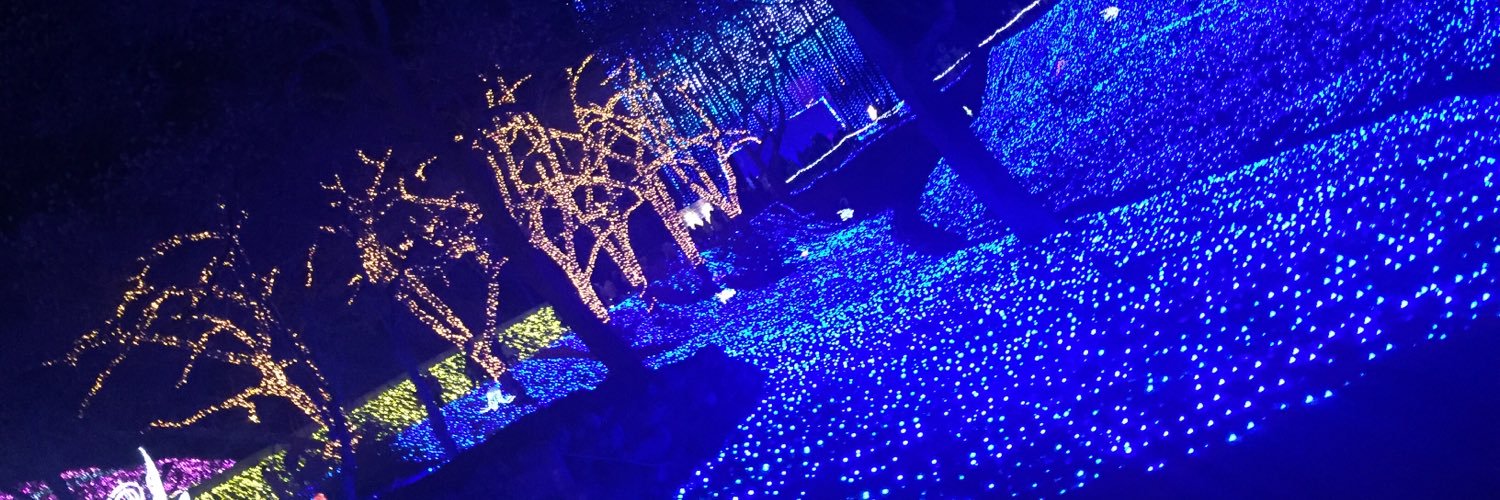 y__os's profile banner image