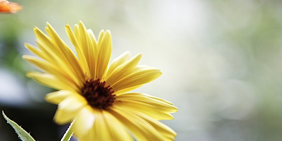 nsht55's profile banner image