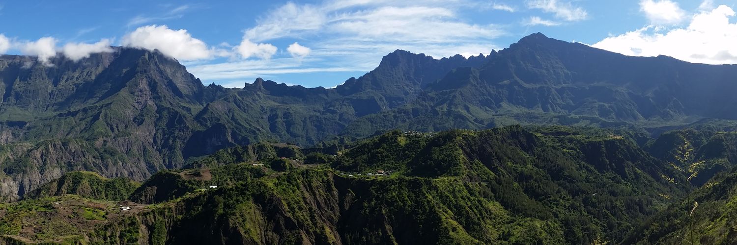 Lang Dominique banner