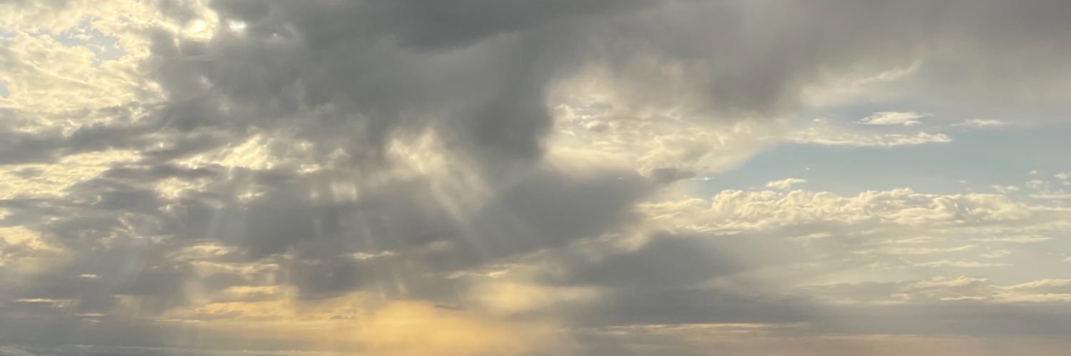 nataliereys's profile banner image